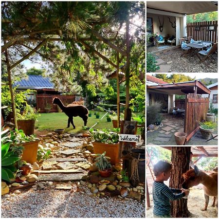 Alpaca Self Catering Cottage Kleinmond Buitenkant foto