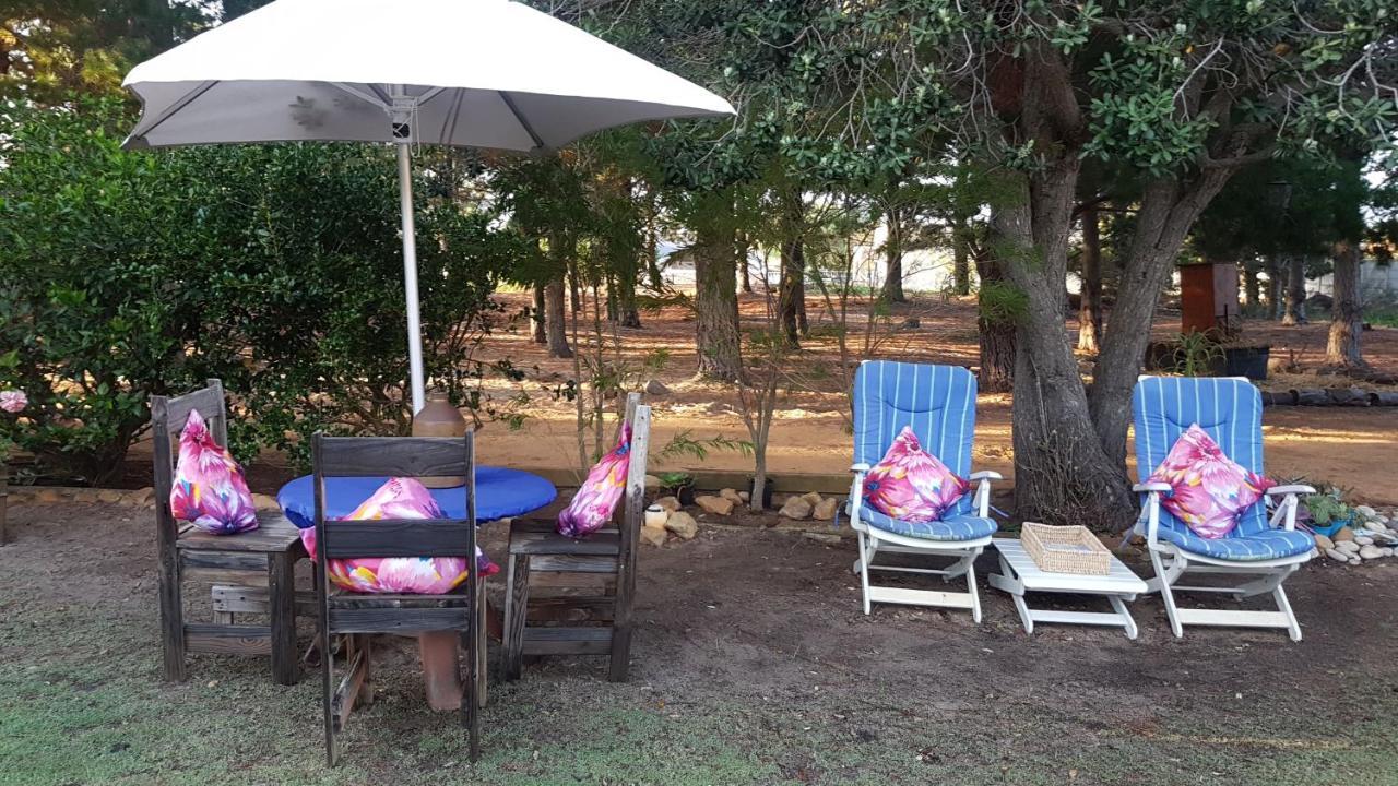 Alpaca Self Catering Cottage Kleinmond Buitenkant foto